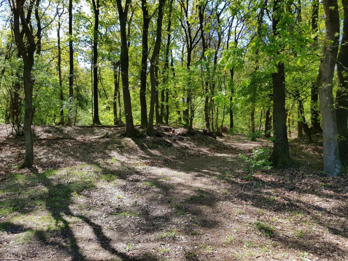 Knusse 5 Persoons Bungalow Hartje Veluwe Otterlo Exteriér fotografie
