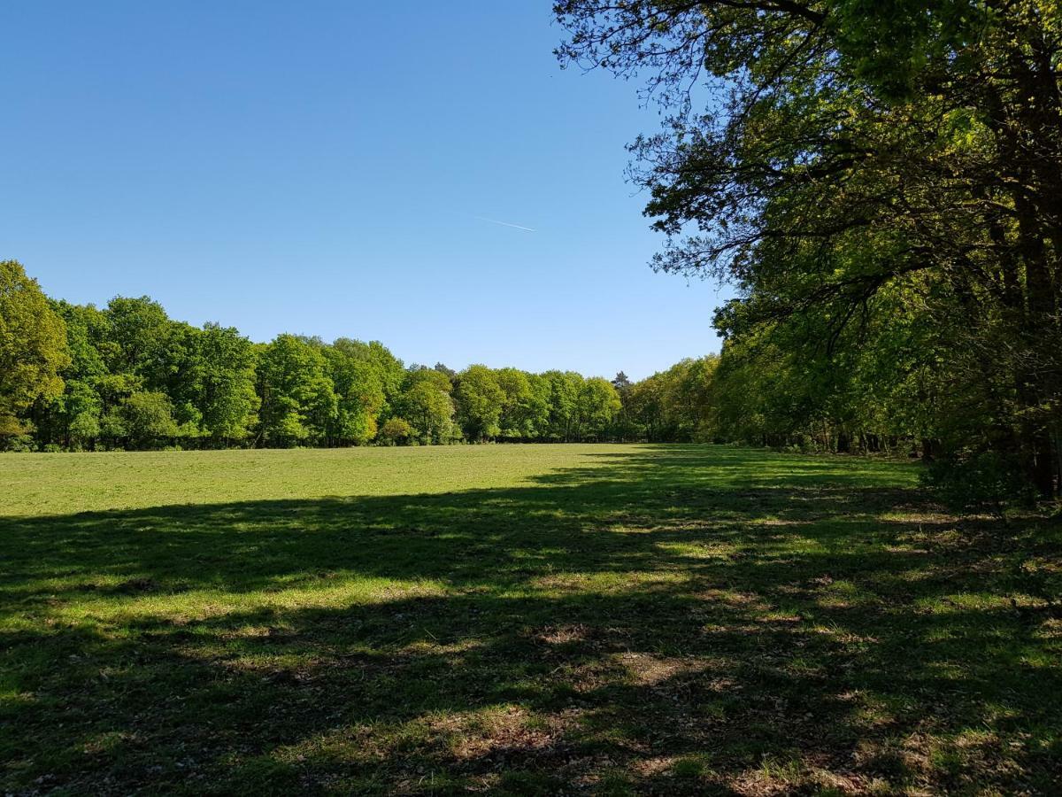 Knusse 5 Persoons Bungalow Hartje Veluwe Otterlo Exteriér fotografie
